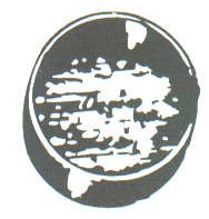 II-Automotive Fasteners